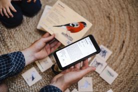 Frotážová sada - Ptáci kolem nás (5)