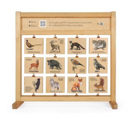 Hlasy lesa - Stolní (1)