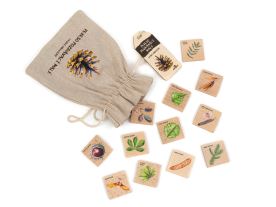 Pexeso poznávací malé - Lesní dřeviny (1)