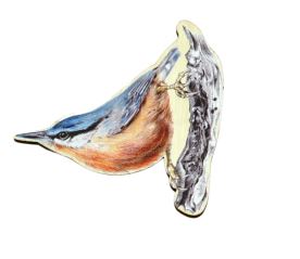 Magnet tvar - Brhlík