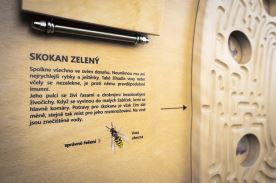 Potravní labyrint (3)