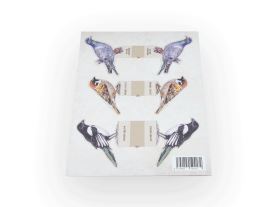 Vystřihovánky - Ptáci kolem nás (2)