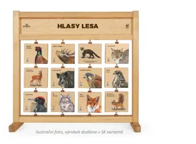 Hlasy lesa- Stolné SK