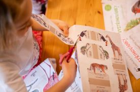 Vystřihovánky - Ptáci kolem nás (4)