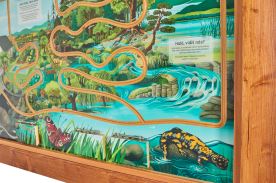 Cesta kapky vody (3)