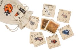 Mini frotážová sada - Hmyz (1)