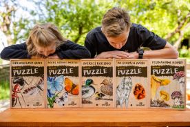 Sada puzzle - Dravci a sovy (1)