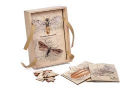 Sada puzzle - Dřevokazný hmyz