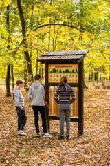 Dendrofon edukační (L) (2)