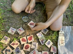 Pexeso poznávací malé - Stopy zvěře (5)