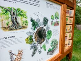 Lesní internet (M) (1)