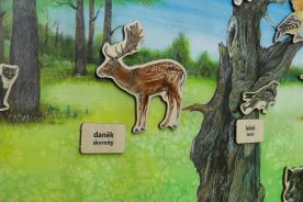 Stolní biotop s magnety - Ve světlém lese (2)