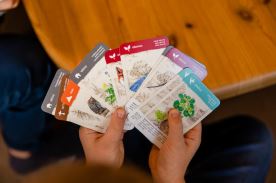 Kvarteto - Putování přírodou (1)