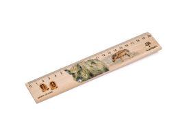 Dřevěné pravítko 20 cm - Prase divoké
