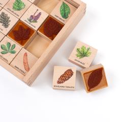 Razítka 16 kusů - Listy a plody (1)