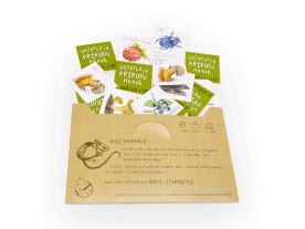 Papírové pexeso - Z našeho lesa (3)