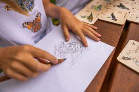 Mini frotážová sada - Hmyz (1)