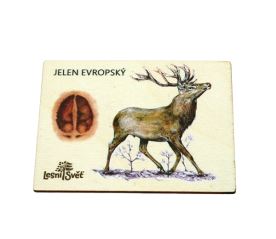 Magnet velký - Jelen