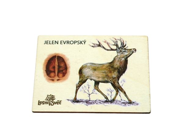 Magnet velký - Jelen