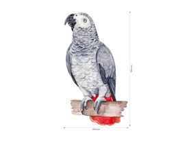 Nažehlovačka M 079 - Papoušek šedý Žako (2)