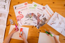 Vystřihovánky - Ptáci kolem nás (5)