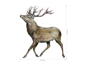 Nažehlovačka M 020 - Jelen (2)