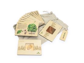 Frotážová sada - Dřeviny kolem nás