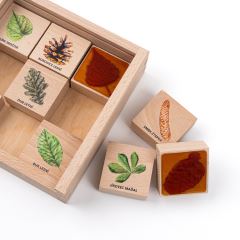 Razítka 9 kusů - Listy a plody (1)