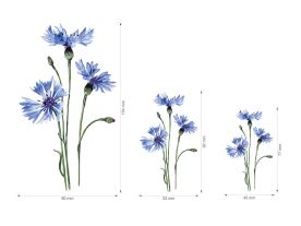 Nažehlovačka M 098 - Chrpa (3)