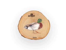 Magnet letokruh - Kačer