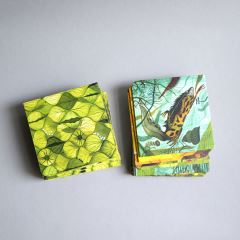 PROMĚNY - Pipasík (2)