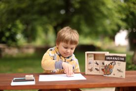 Razítka 9 kusů - Hmyz (4)