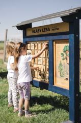 Zvukové pexeso M - Hlasy lesa (2)