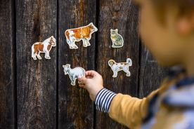 Velké vylomeniny - Ptáčci na krmítku (5)