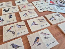 Do trojky - Ptačí páry (5)