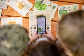 Frotážová sada - Dřeviny kolem nás (4)