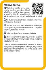 Ptáci v přírodní zahradě - Lipka (6)