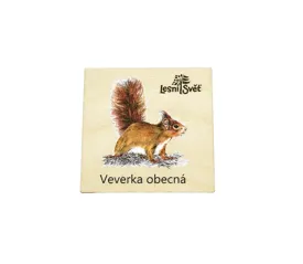Magnet malý - Veverka