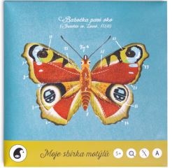 MOJE SBÍRKA MOTÝLŮ - Pipasík