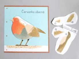 POZNÁVEJ PTÁČKY - Pipasík (2)