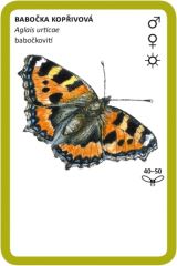 Motýli a housenky v přírodní zahradě - Lipka (3)