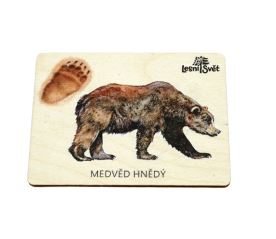 Magnet velký - Medvěd