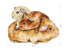 Nažehlovačka M 069 - Morče (2)