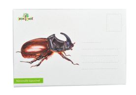 Puzzle do kapsy - Nosorožík