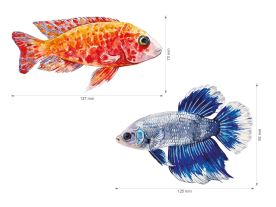 Nažehlovačka L 041 - Akvarijní ryby 2. (3)