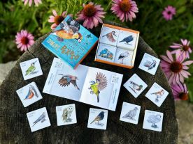 Balíček ptáci (1)