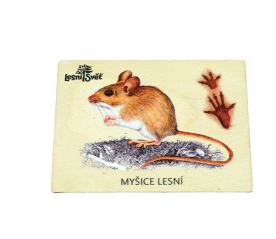 Magnet velký - Myšice