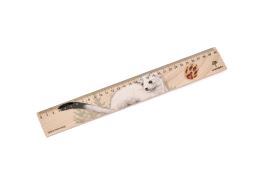 Dřevěné pravítko 30 cm - Lasice hranostaj