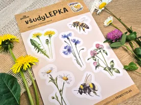 všudyLEPKA vel. 2 -003 - Luční květiny 1 (2)