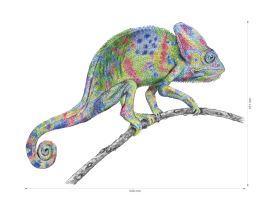 Nažehlovačka L 021 - Chameleon (2)